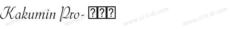 Kakumin Pro字体转换